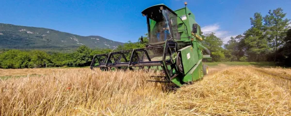 Najprej na njivo, šele potem na luno