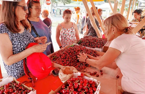V Šmartnem in Gonjačah so v soboto od jutra do večera 
obiskovalce vabile stojnice s češnjami in lokalnimi izdelki.