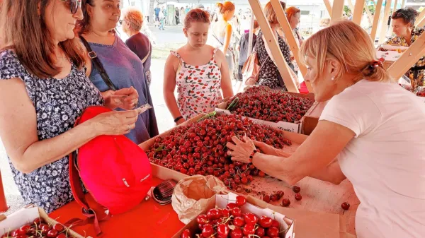 V Šmartnem in Gonjačah so v soboto od jutra do večera 
obiskovalce vabile stojnice s češnjami in lokalnimi izdelki.