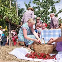 Osrednji dogodek praznika je bila nedeljska tradicionalna povorka 
z etnološkimi vozovi s prikazom tradicionalnih briških običajev.