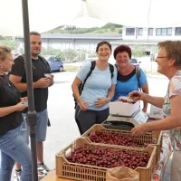 V Šmartnem in Gonjačah so v soboto od jutra do večera 
obiskovalce vabile stojnice s češnjami in lokalnimi izdelki.