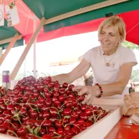 V Šmartnem in Gonjačah so v soboto od jutra do večera 
obiskovalce vabile stojnice s češnjami in lokalnimi izdelki.