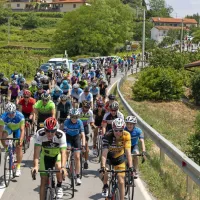 V soboto dopoldne je iz Ljubljane na 108 kilometrov dolgo pot 
proti Brdom krenila karavana 800 kolesarjev na 26. kolesarskem 
maratonu Junaki vinogradov.