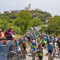 V soboto dopoldne je iz Ljubljane na 108 kilometrov dolgo pot 
proti Brdom krenila karavana 800 kolesarjev na 26. kolesarskem 
maratonu Junaki vinogradov.
