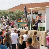 V Brdih živo, kot že dolgo ne: praznik se je vrnil na dobro letino češenj (FOTO in VIDEO)