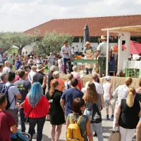V Brdih živo, kot že dolgo ne: praznik se je vrnil na dobro letino češenj (FOTO in VIDEO)
