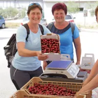 V Brdih živo, kot že dolgo ne: praznik se je vrnil na dobro letino češenj (FOTO in VIDEO)