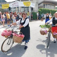 V Brdih živo, kot že dolgo ne: praznik se je vrnil na dobro letino češenj (FOTO in VIDEO)