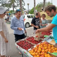 V Brdih živo, kot že dolgo ne: praznik se je vrnil na dobro letino češenj (FOTO in VIDEO)