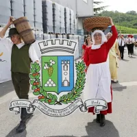 V Brdih živo, kot že dolgo ne: praznik se je vrnil na dobro letino češenj (FOTO in VIDEO)