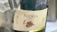 Penina brut zero 2019 iz briške kleti Ščurek je na Decanterjevem 
tekmovanju dobila 97 od 100 točk.