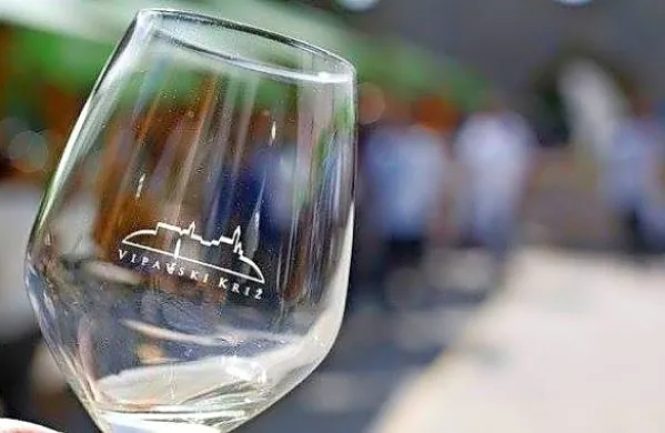 Festival vina zelen 2022