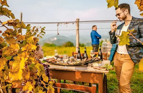 Piknik v naravi z vinom in domačimi dobrotami je del vinskega 
safarija v Brdih.