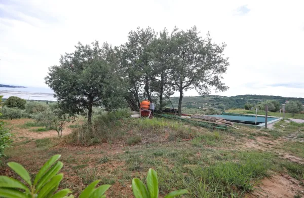 Pod kmetijskim zemljiščem na Seči, ki je v lasti Jelene Radić in na 
katerem že stoji nelegalno zgrajen stanovanjski objekt, je  stalo 
arheološko najdišče sv. Marija na Seči z ostanki iz drugega 
stoletja.