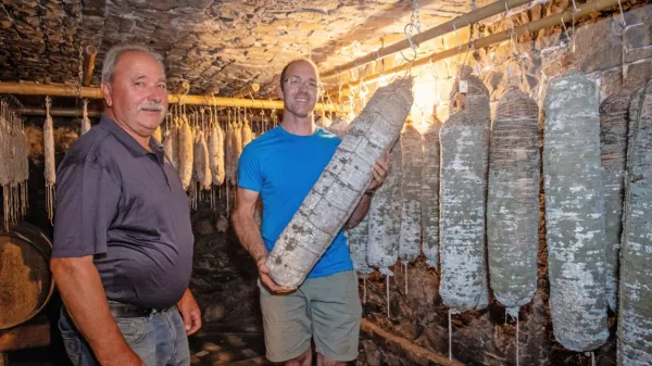 Vinko (levo) in Martin Cernatič z njihovo težko “municijo”, rolano 
panceto.