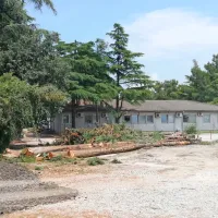 Začenja se gradnja Levjega gradu: ne bodo odstranili samo dreves, ampak tudi otroški igrali