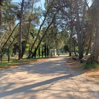 Kamp Pineta v Fažani je tudi Slovencem dobro znan, plačilni 
promet pa kljub številnim mednarodnim gostom poteka v kunah. 