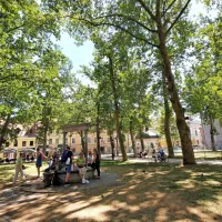 Park Zvezda ob Kongresnem trgu nudi nekaj sence v vročih 
dneh.