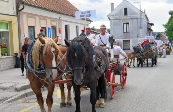 Po dveh letih premora bodo v Postojni v nedeljo ponovno obudili 
furmansko tradicijo.