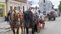 Po dveh letih premora bodo v Postojni v nedeljo ponovno obudili 
furmansko tradicijo.