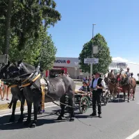 Kar pet nagrad najizvirnejšim furmanom