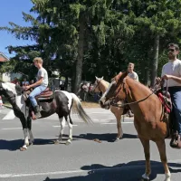 Kar pet nagrad najizvirnejšim furmanom