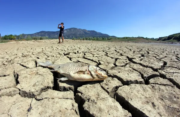 Letošnja posebnost je bila že suha zimo in pomlad, ki se je v juniju 
hitro prevesila v obdobja z zelo visokimi temperaturami in 
lokalnimi neurji s točo.