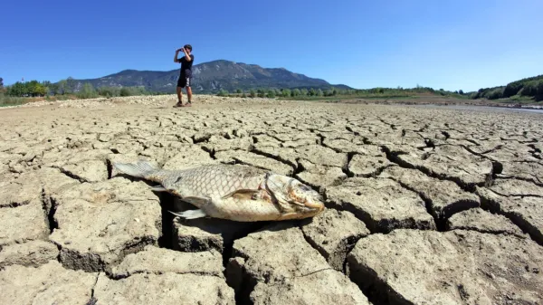 Letošnja posebnost je bila že suha zimo in pomlad, ki se je v juniju 
hitro prevesila v obdobja z zelo visokimi temperaturami in 
lokalnimi neurji s točo.