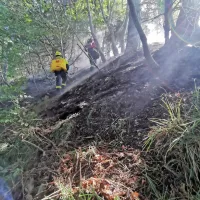 V torek nekaj pred poldnevom je zagorelo na težko dostopnem 
terenu na pobočju Stola. 