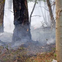 Na    Trstelju  je     kmalu  za  tem,   ko se je vnel požar,  eksplodirala 
75-milimetrska topovska granata iz prve svetovne vojne.