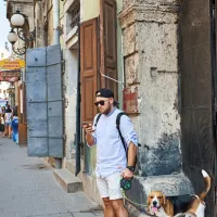 Pri hoji po razgretih mestnih ulicah je precej zmanjšana možnost 
ohlajanja preko šap.