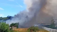 Na območju naselja Valdebek v hrvaškem Pulju je danes okoli 
poldneva izbruhnil obsežen požar.
