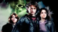 Ljudje navdušeno prebirajo Harryja Potterja in Gospodarja prstanov, saj globoko v sebi hočejo verjeti v neomejenost možnosti 
in hrepenijo po čarovniji v svojem vsakdanjem življenju.