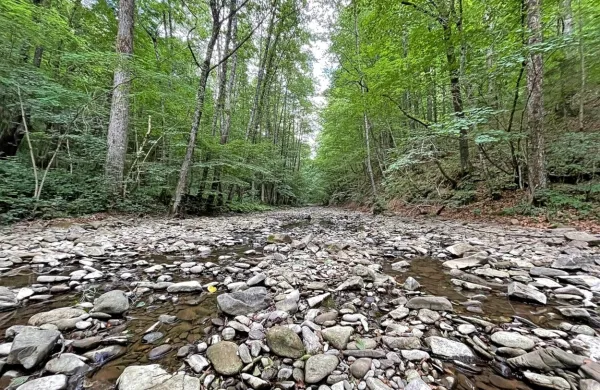 V Suhorci je tačas le malo vode. 