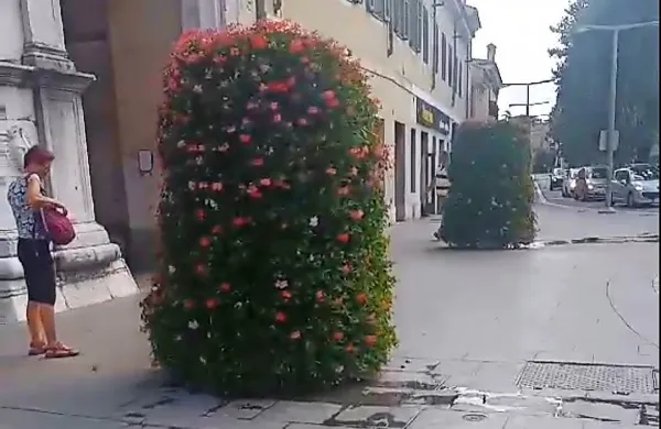 Marjetica Koper cvetlična korita pri vratih Muda zaliva z vodo iz 
lastnega zajetja na mestni vrtnariji v Škocjanu.