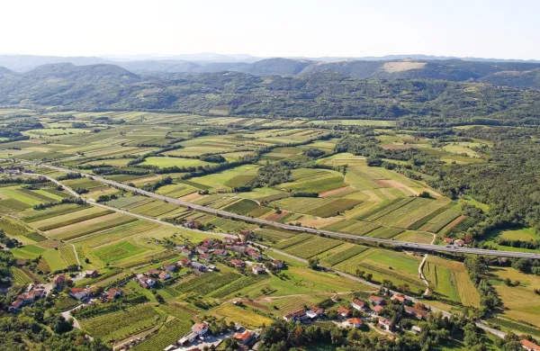 Tudi letošnje razmere pritrjujejo trditvam, da je namakanje nujno 
za obstoj in razvoj kmetijstva v Vipavski dolini. 