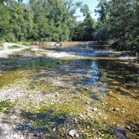 V Rižani se je voda ohranila le še v kakšnem tolmunu.