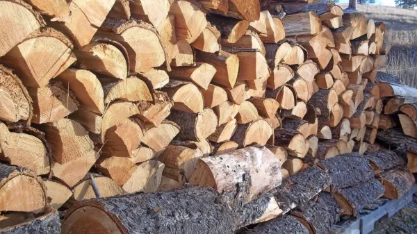 Lesna goriva še vedno predstavljajo 36 odstotkov v strukturi 
energentov v gospodinjstvih. 