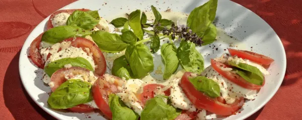 Paradižnikova solata z baziliko in mocarelo