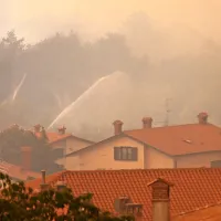 Drevesa pred prvimi hišami v Kostanjevici na Krasu so obilno 
zalivali z vodo.