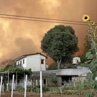 Požar se je nekoliko umiril, prebivalci Mirna so se lahko vrnili domov