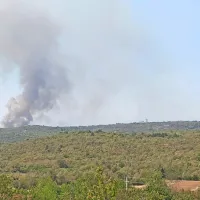 Zagorelo je tudi na obeh straneh ceste med Mirnom in Opatjim 
Selom.