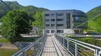 Družina Svetlik, ki je lastništvo v Hidrii prodala velikemu Gonvarriju in 
vodstvo Hidrie, so prepričani, da so za slednjo “zgradili” trden most 
v prihodnost.