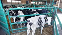 V Luki so že prejšnji teden ukinili porabo pitne vode v vseh 
nenujnih  procesih in postopkih, kjer ni zaprtega sistema za 
kroženje vode. Porabljajo jo le na terminalu za živino, za napajanje 
živali, in na terminalu za hlajene tovore.