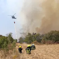 FOTO+VIDEO: Ogenj na Krasu nadaljuje svoj uničujoči pohod. V zaledju Renč evakuacija le za sedem krajev.