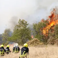 FOTO+VIDEO: Ogenj na Krasu nadaljuje svoj uničujoči pohod. V zaledju Renč evakuacija le za sedem krajev.
