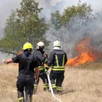 FOTO+VIDEO: Ogenj na Krasu nadaljuje svoj uničujoči pohod. V zaledju Renč evakuacija le za sedem krajev.
