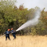 FOTO+VIDEO: Ogenj na Krasu nadaljuje svoj uničujoči pohod. V zaledju Renč evakuacija le za sedem krajev.