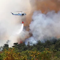 FOTO+VIDEO: Ogenj na Krasu nadaljuje svoj uničujoči pohod. V zaledju Renč evakuacija le za sedem krajev.