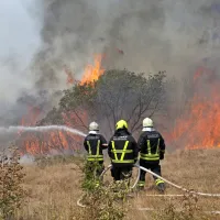 FOTO+VIDEO: Ogenj na Krasu nadaljuje svoj uničujoči pohod. V zaledju Renč evakuacija le za sedem krajev.